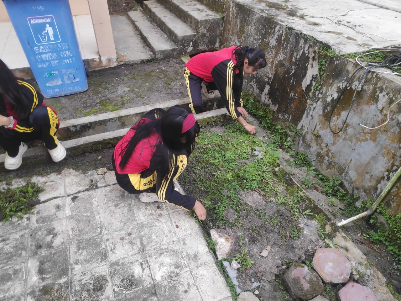 Program Jumat Bersih: Sulap Area Laboratorium Menjadi Taman dan Kebun Baru